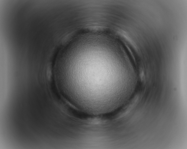 X0000092040259200709261956