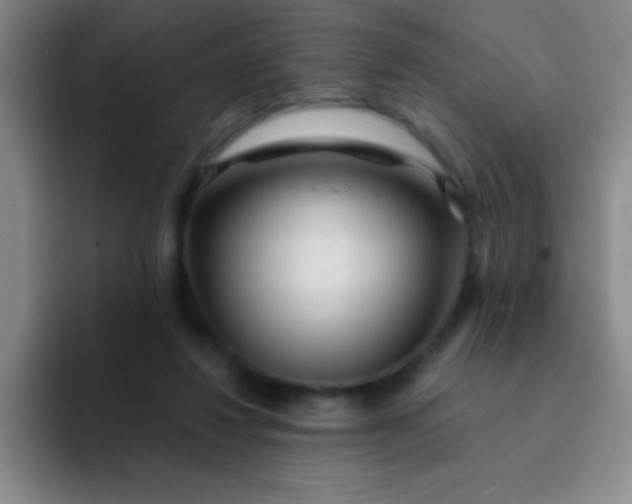 X0000092040260200709261956