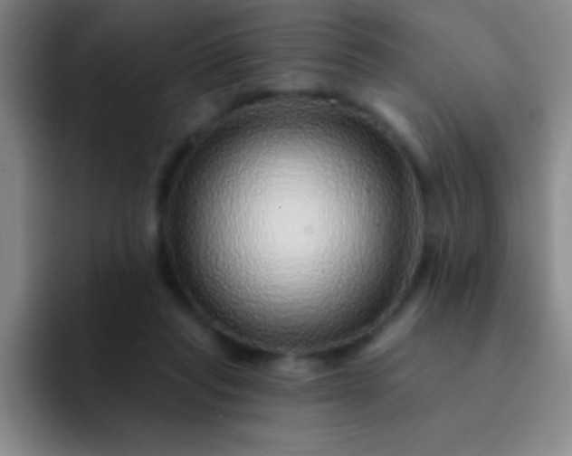 X0000092040261200709261956