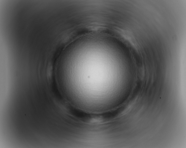 X0000092040263200709261956