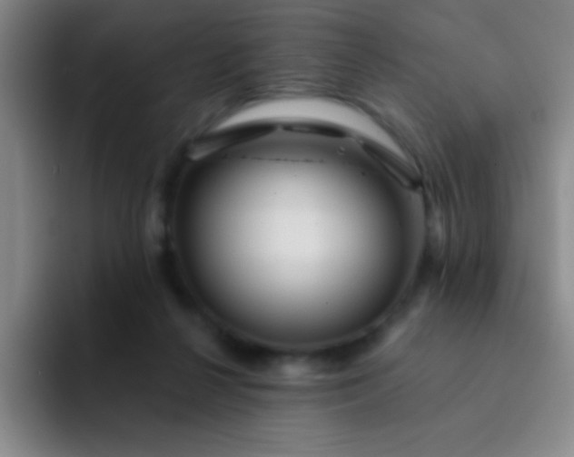 X0000092040264200709261956