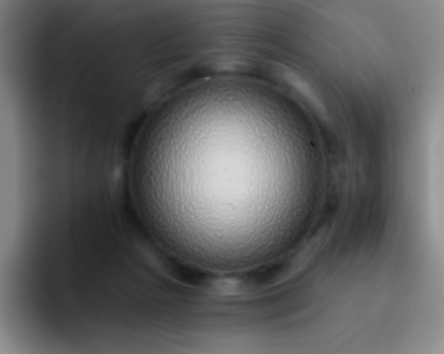 X0000092040265200709261956