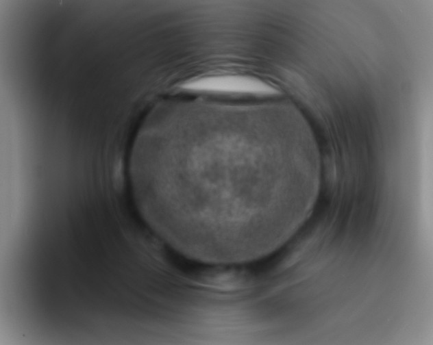 X0000092040267200709261956