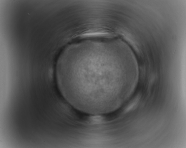 X0000092040269200709261956