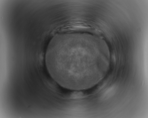 X0000092040271200709261956