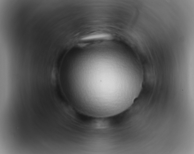 X0000092040275200709261956