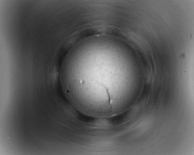 X0000092040279200709261956