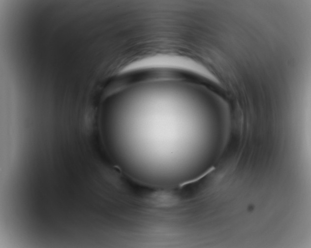 X0000092040280200709261956