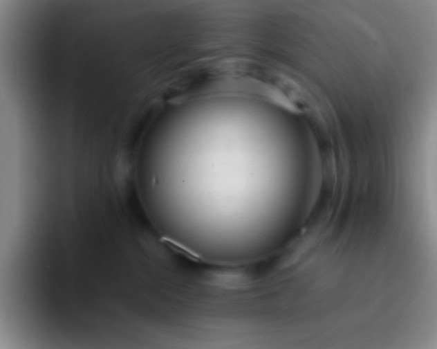 X0000092040284200709261956