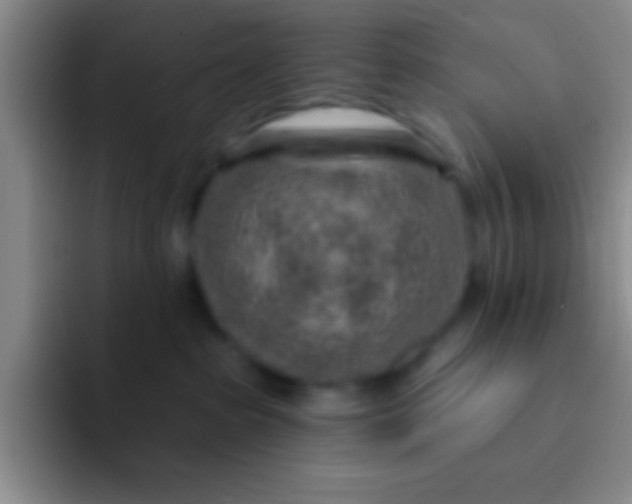 X0000092040285200709261956