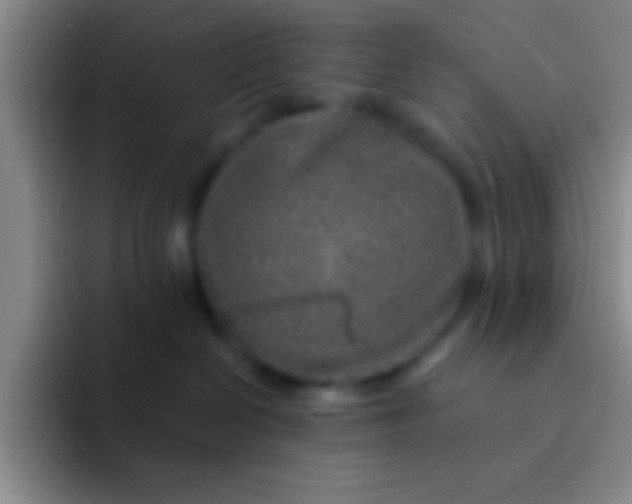 X0000092040286200709261956