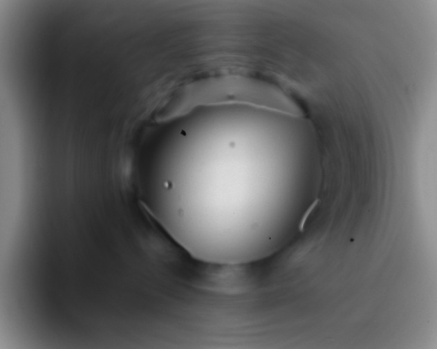 X0000092040288200709261956