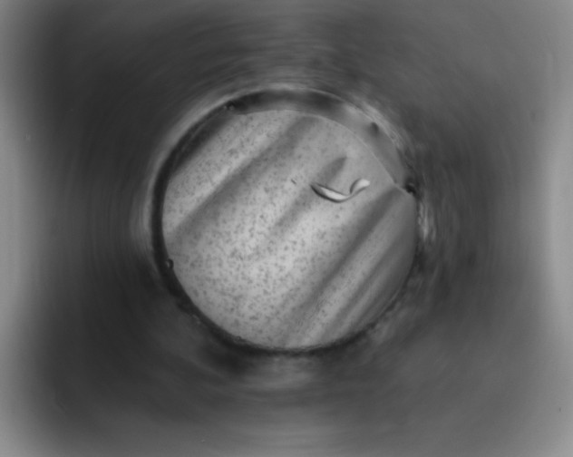 X0000092040292200709261956