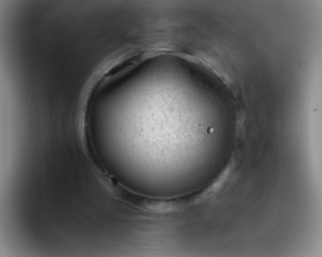 X0000092040293200709261955