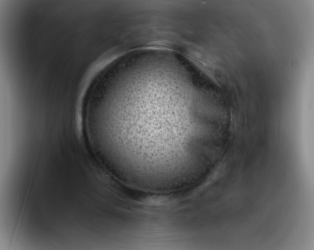 X0000092040294200709261955