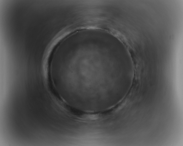 X0000092040295200709261955