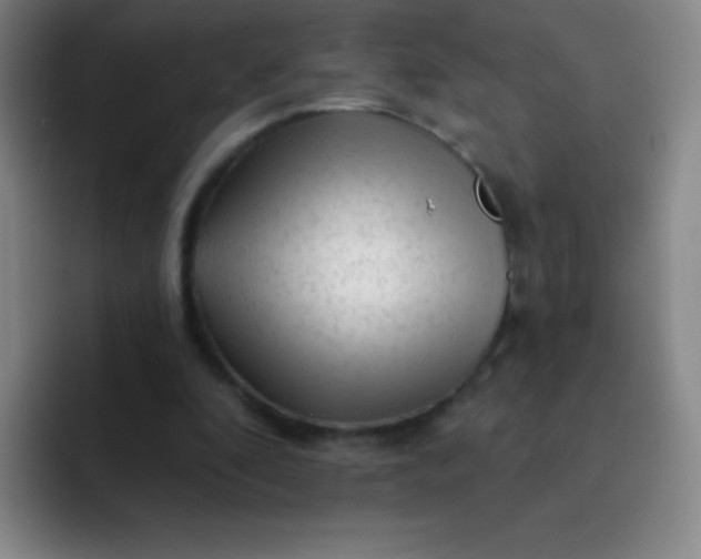 X0000092040296200709261955