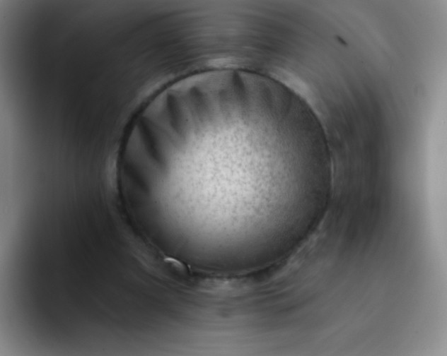 X0000092040297200709261955