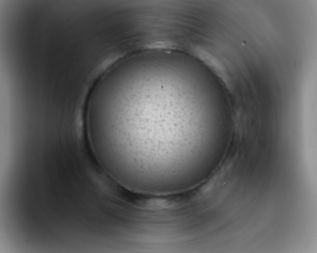 X0000092040298200709261955