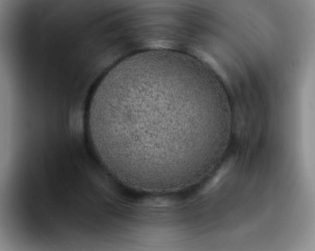 X0000092040299200709261955