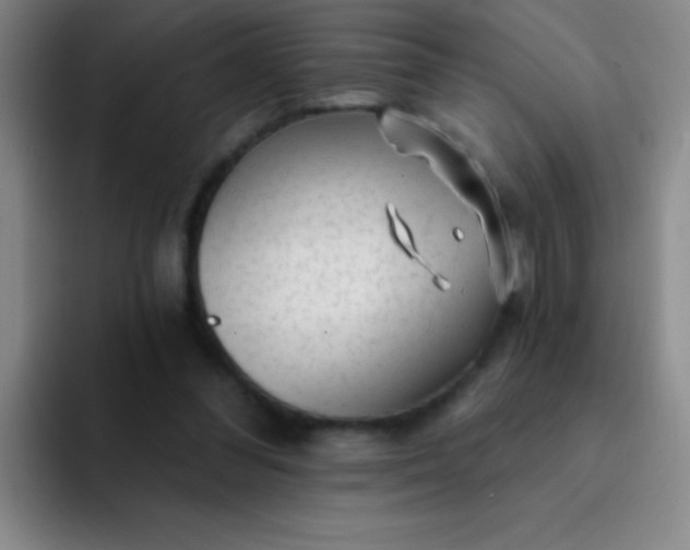 X0000092040300200709261955