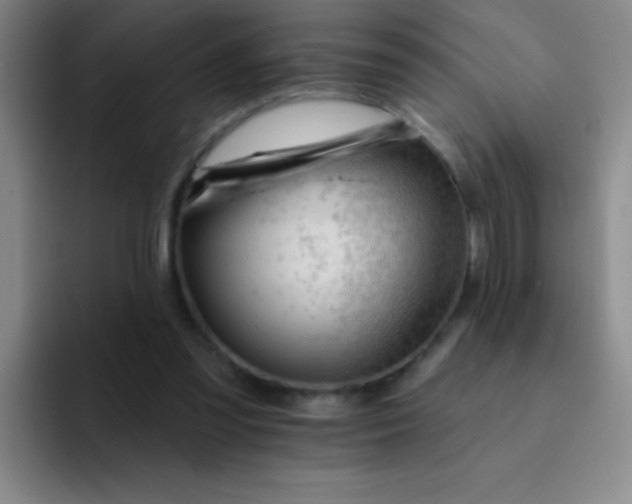 X0000092040301200709261955