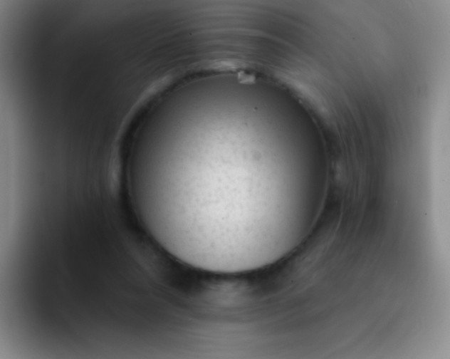 X0000092040304200709261955