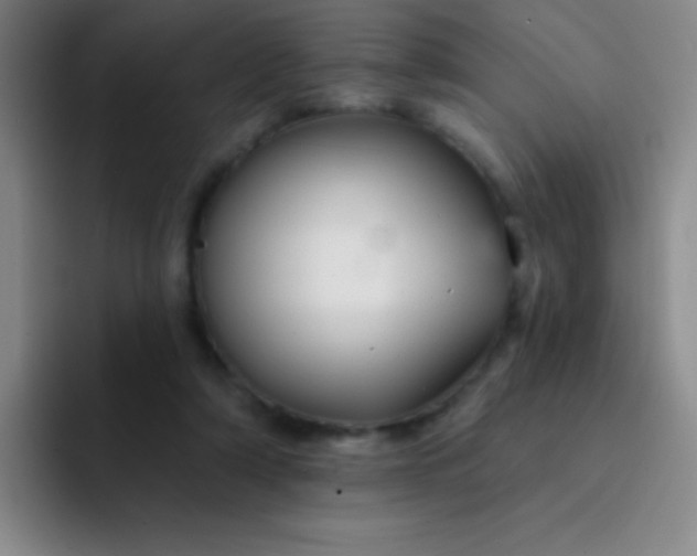 X0000092040306200709261955