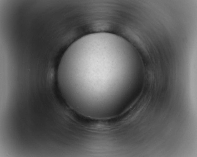 X0000092040308200709261955