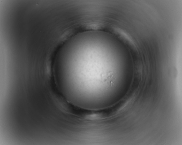 X0000092040312200709261955