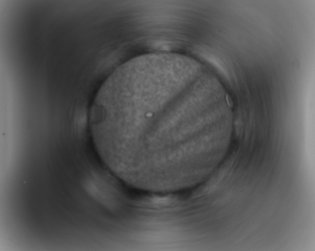 X0000092040314200709261955