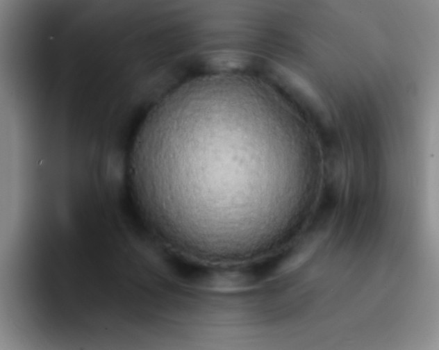 X0000092040315200709261955