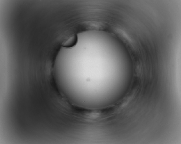 X0000092040318200709261955