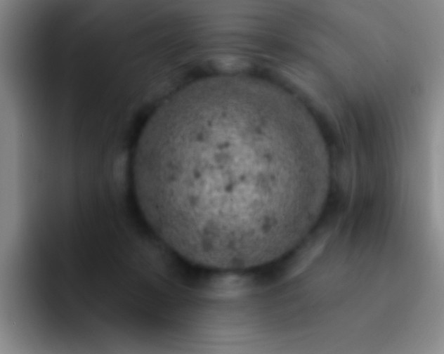 X0000092040319200709261955