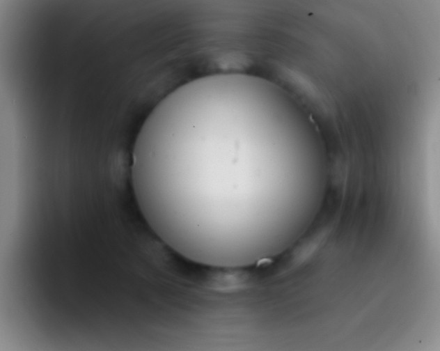 X0000092040321200709261955