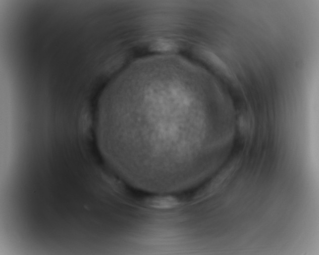 X0000092040322200709261955