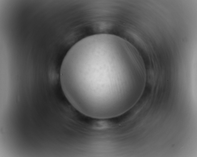 X0000092040324200709261955