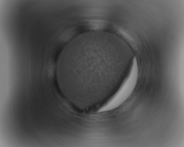 X0000092040325200709261955