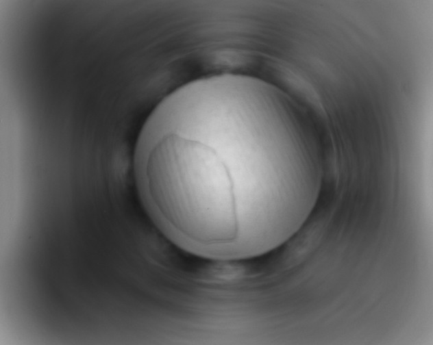 X0000092040328200709261955