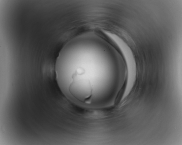 X0000092040329200709261955