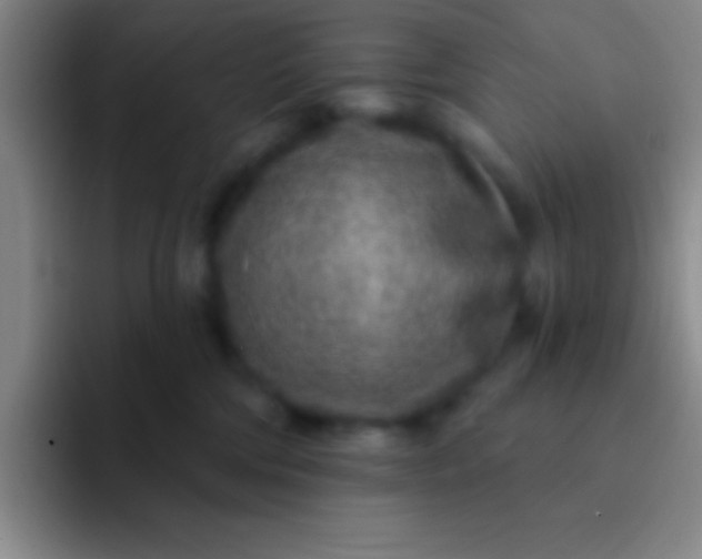 X0000092040330200709261955