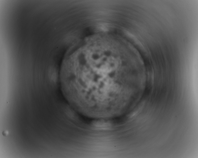 X0000092040331200709261955