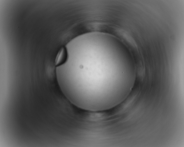 X0000092040332200709261955