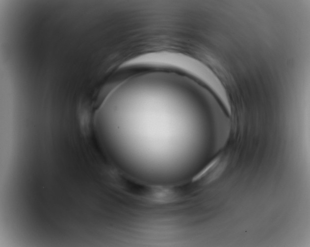 X0000092040333200709261955