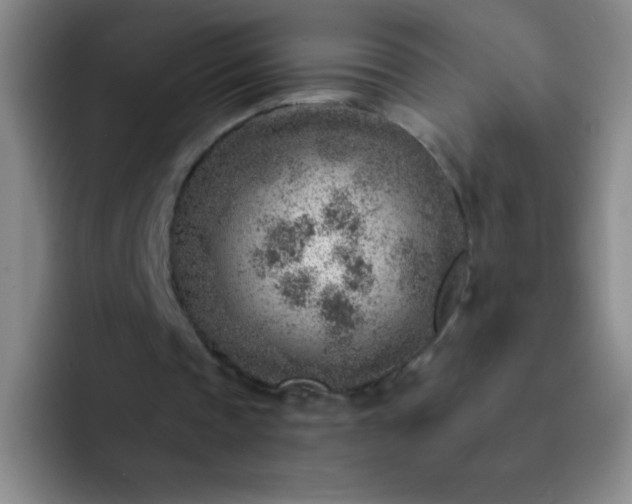 X0000092040337200709261954