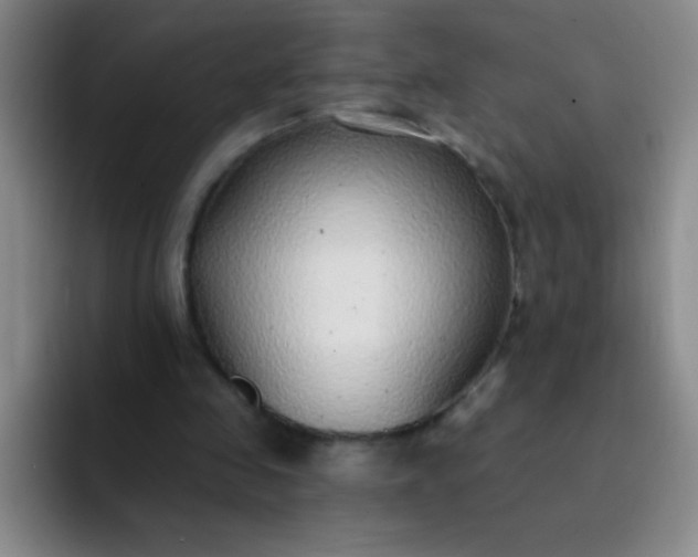 X0000092040341200709261954