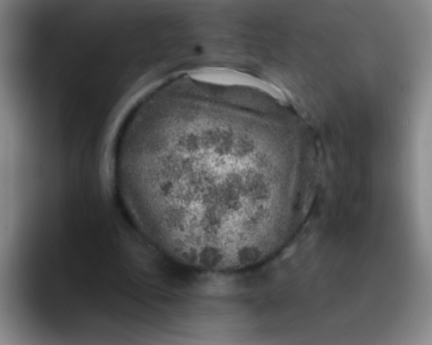 X0000092040343200709261955