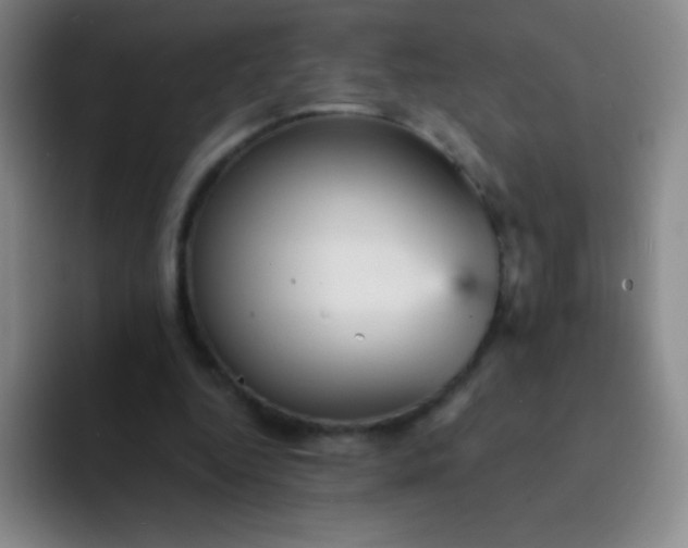 X0000092040344200709261955