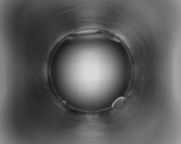 X0000092040345200709261955