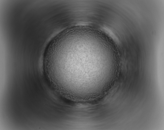 X0000092040346200709261955